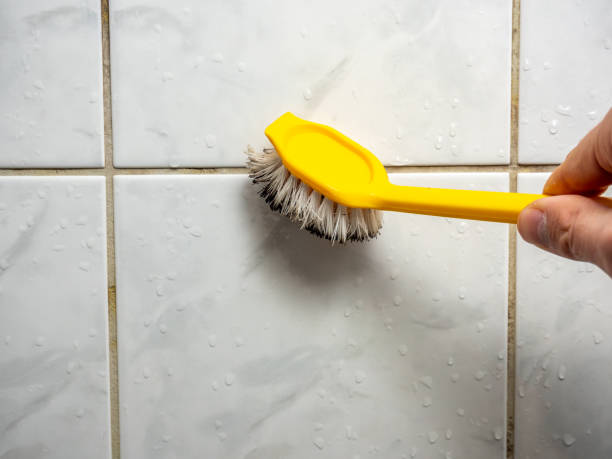 Mold Removal Process in Cambridge, MD